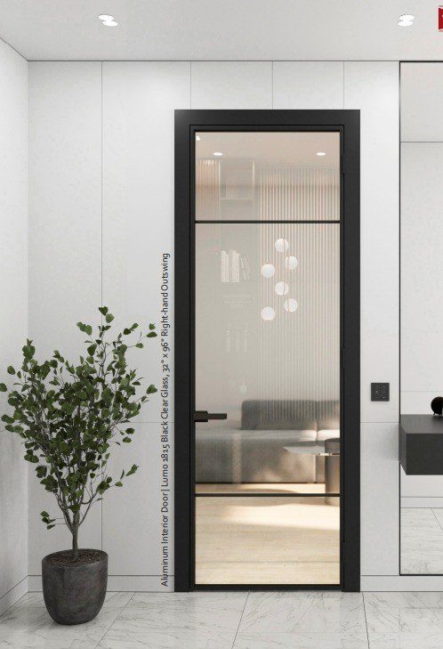 LUMO 1815 swing door with black frame and clear glass