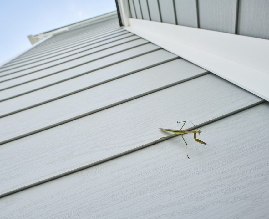 siding2 rizaok9u85nyrlps8el3gjc45ispyrmvoadtsan048 siding2